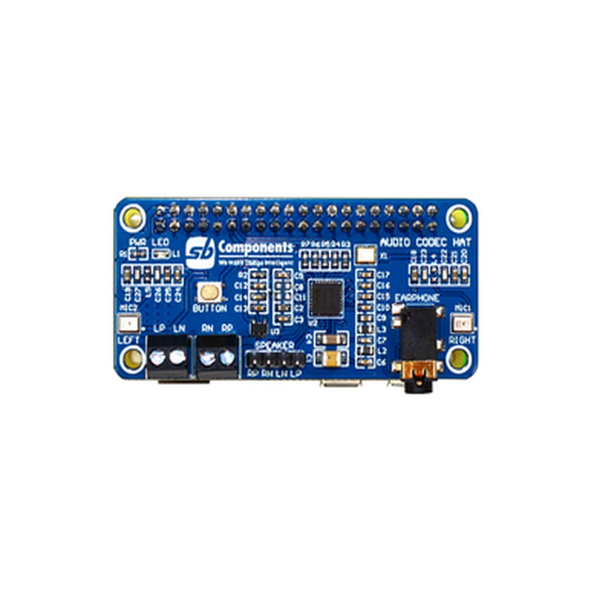 audio-codec-hat-for-raspberry-pi