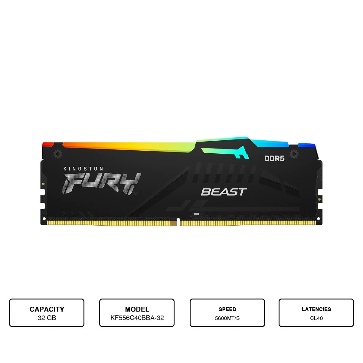 kingston-fury-beast-32gb-1x32gb-ddr5-rgb-5600mt-s-memory-kf556c40bba-32