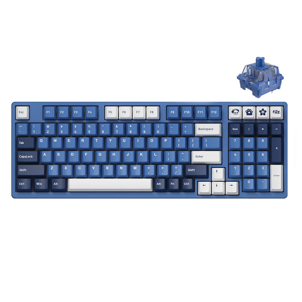 akko-ocean-star-3098ds-mechanical-keyboard-akko-blue