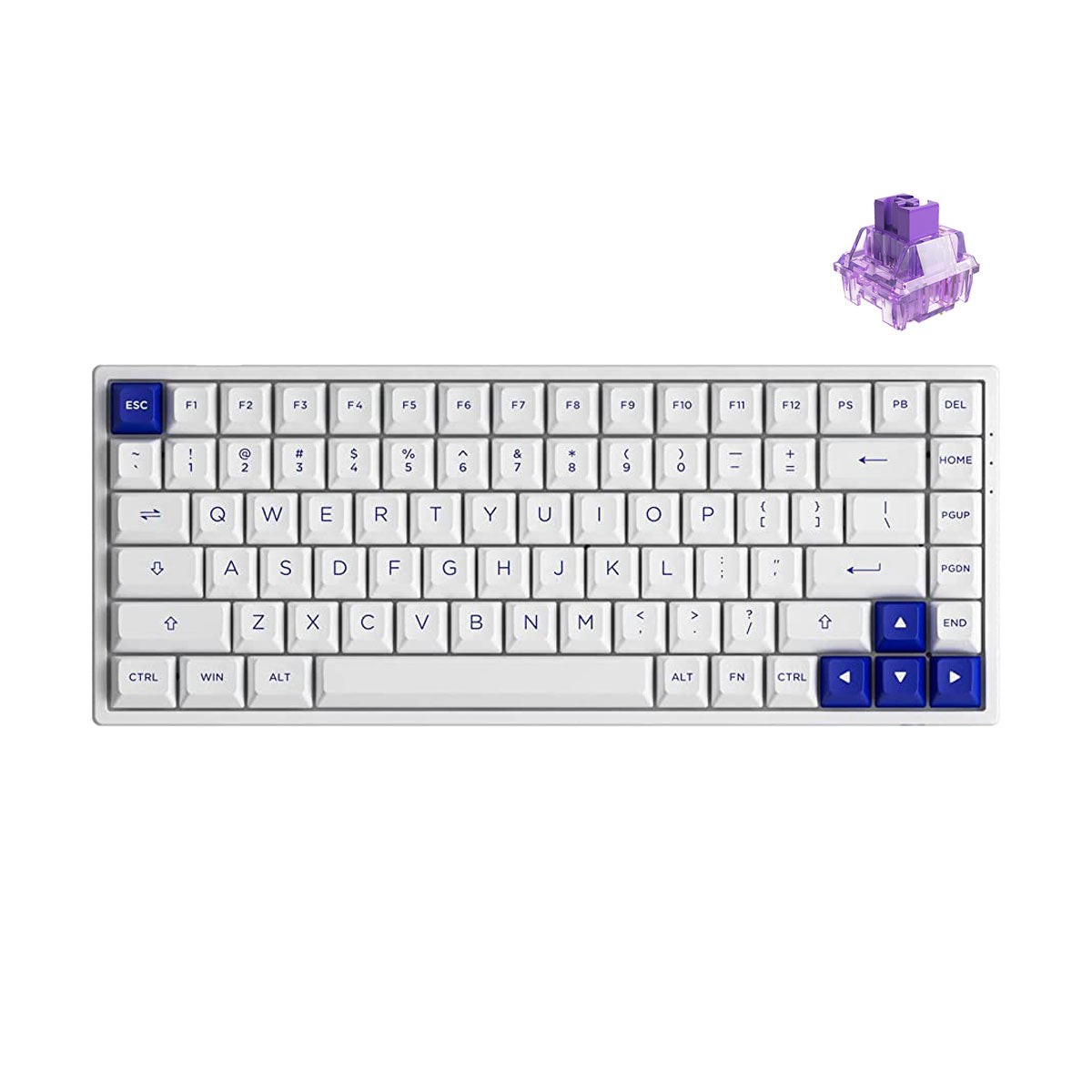 akko-blue-on-white-3084b-plus-hot-swappable-multi-mode-rgb-mechanical-keyboard-akko-cs-jelly-purple