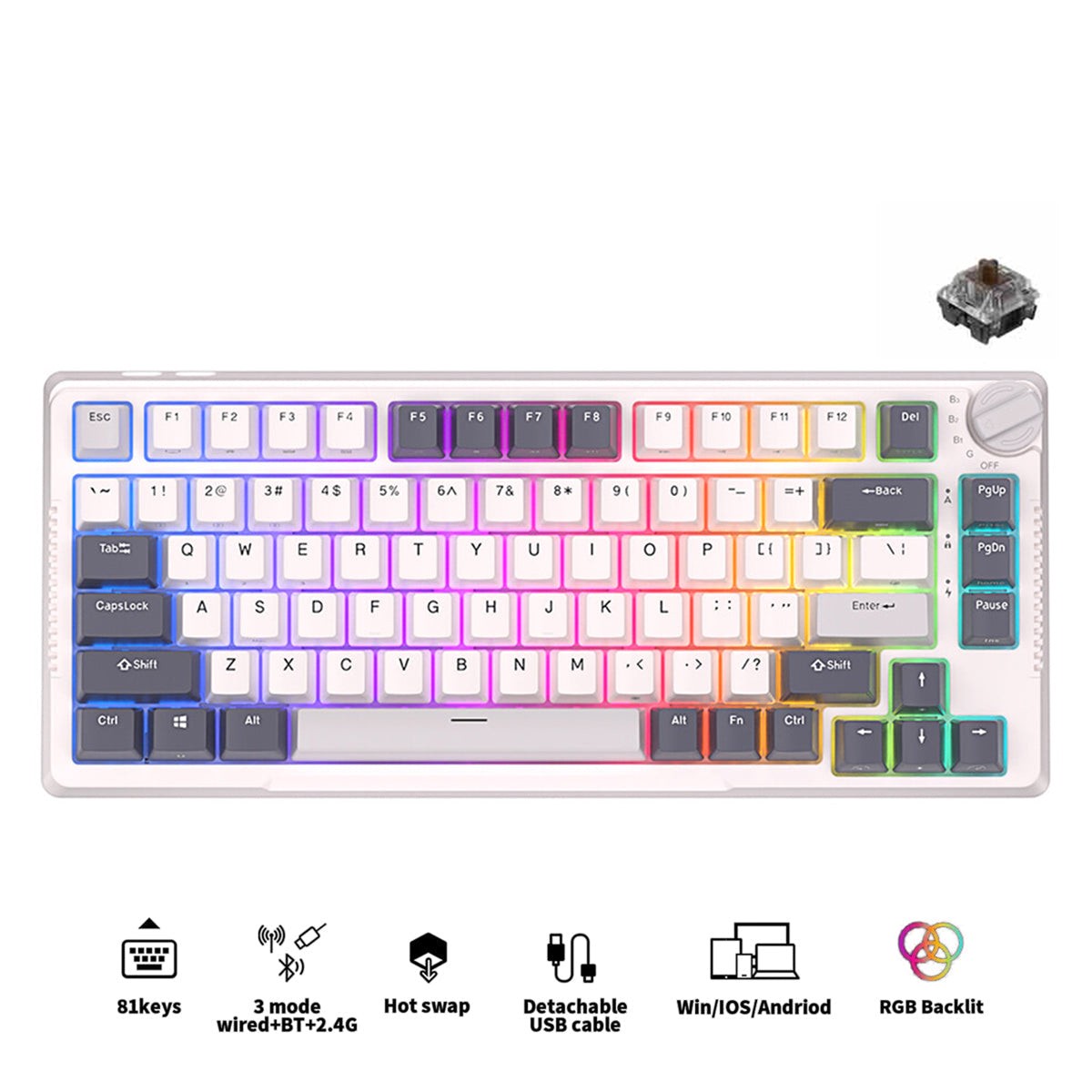 royal-kludge-rk-h81-tri-mode-rgb-81-keys-hot-swappable-mechanical-keyboard-white-night-brown-switch