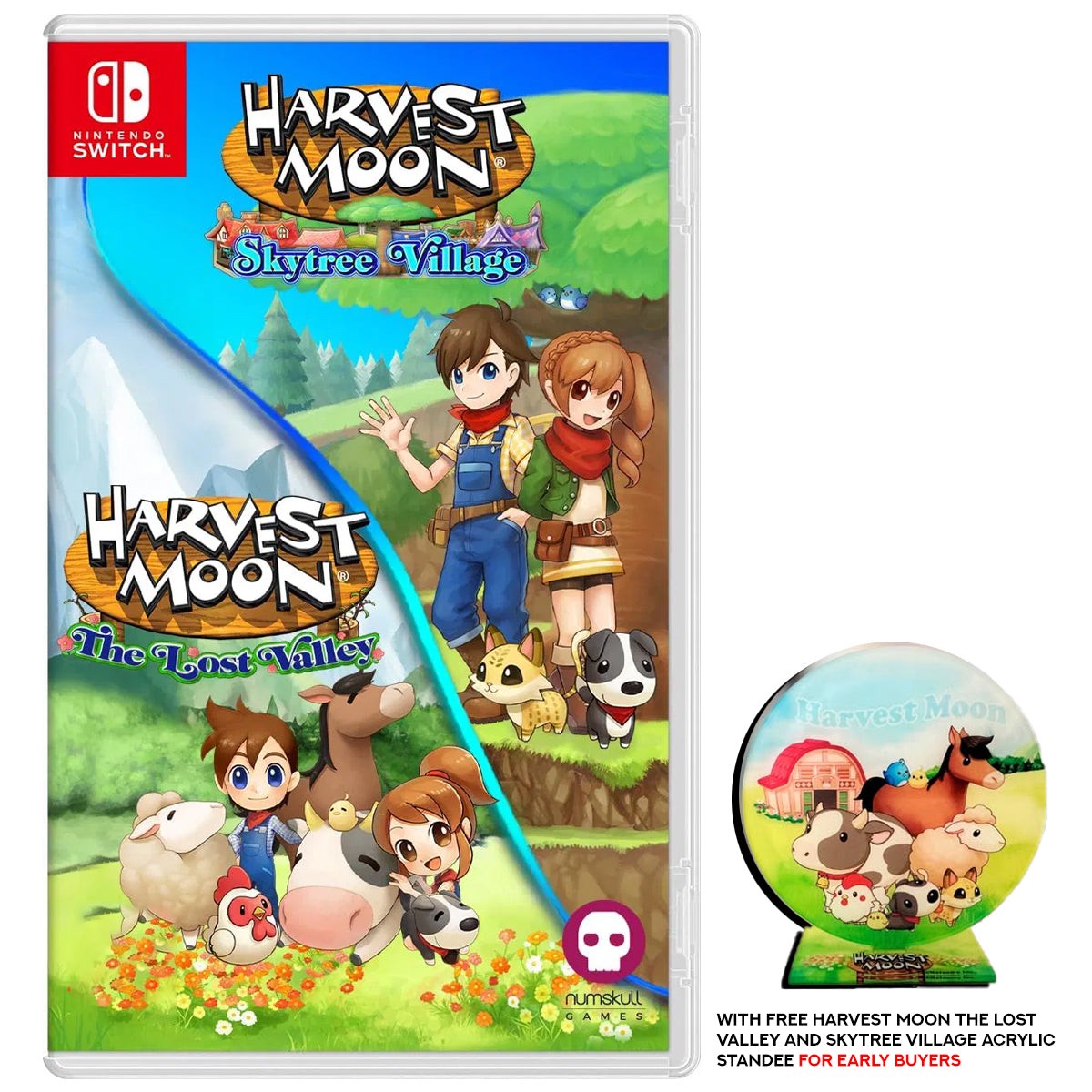 nintendo-switch-harvest-moon-the-lost-valley-and-skytree-village-asian