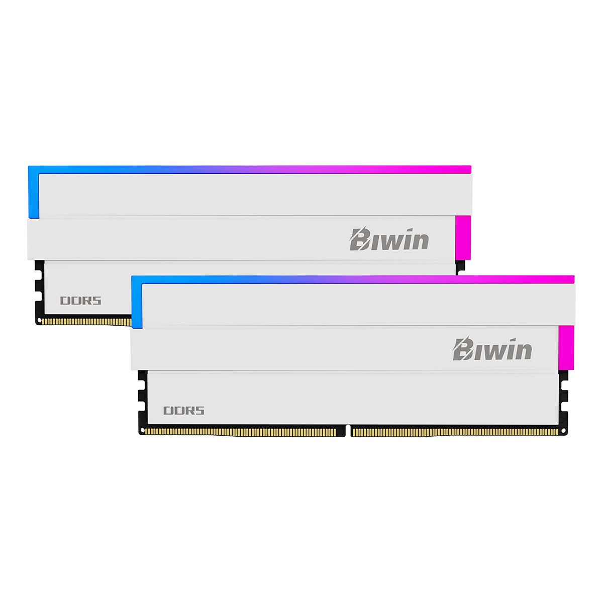 biwin-black-opal-dw100-ddr5-rgb-16gbx2-6000mhz-cl36-45-45-96-gaming-memory-white-bxl53260dw1-d36dw