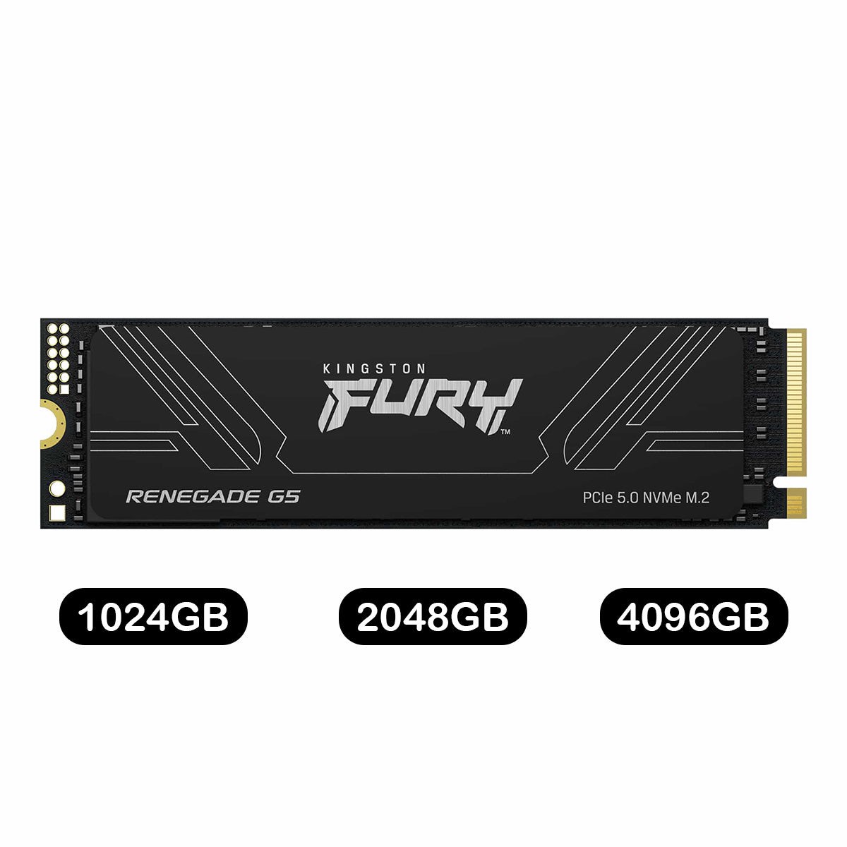 kingston-fury-renegade-g5-pcie-gen5-nvme-m-2-2280-ssd-1024gb-2048gb-4096gb-sfyr2s-1t0-sfyr2s-2t0-sfyr2s-4t0