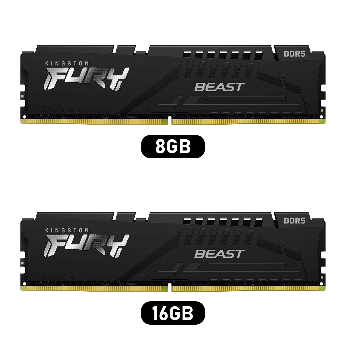 kingston-fury-beast-ddr5-5600mt-s-cl36-38-38-1-25v-expo-xmp-desktop-memory-8gb-16gb-kf556c36bbe-8-kf556c36bbe-16