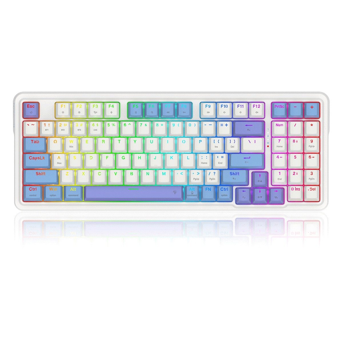 redragon-k664wbp-rgb-pro-gloria-pro-3-modes-hot-swappable-gasket-keyboard-white-blue-purple