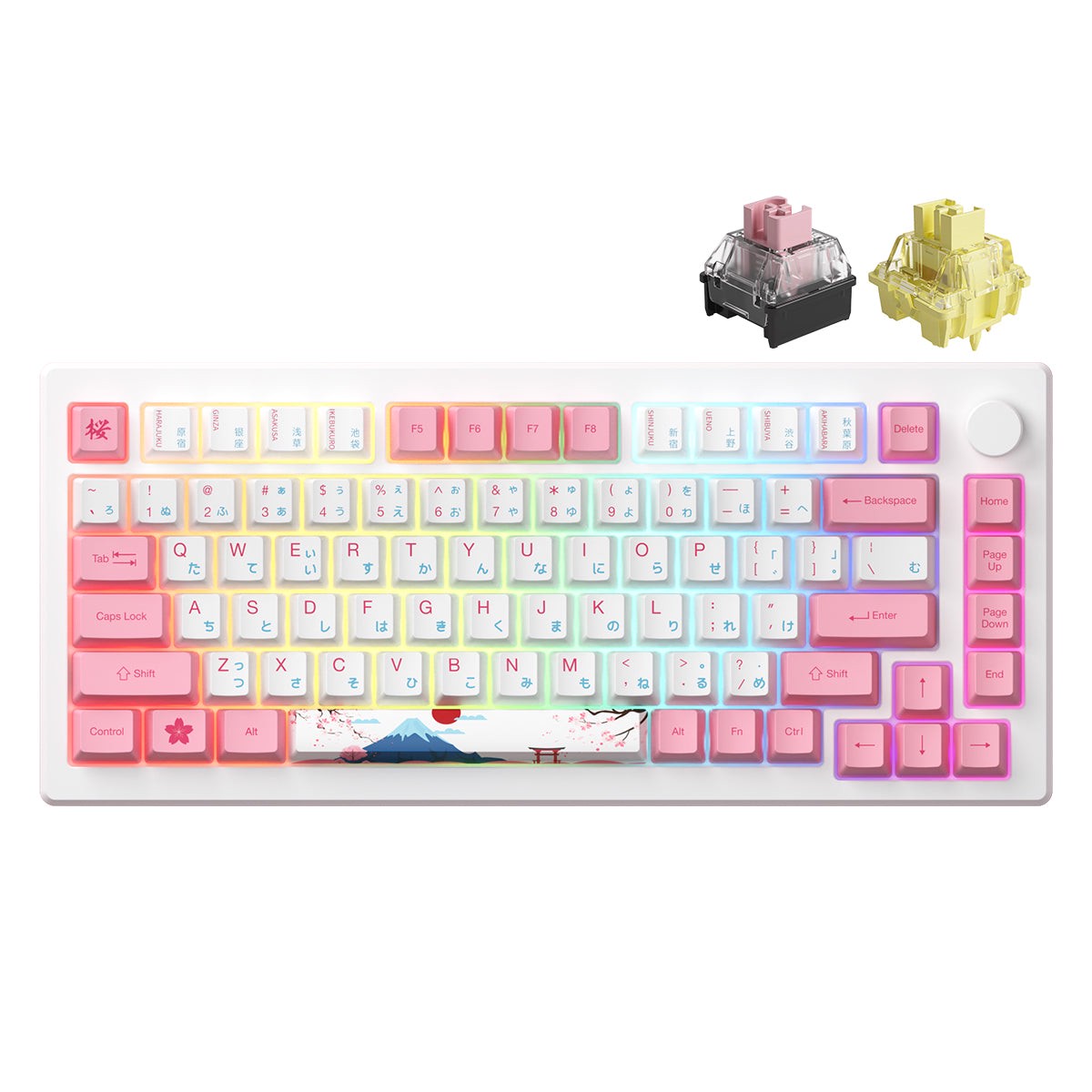 akko-mod-007b-he-pc-tokyo-r2-tri-mode-rgb-hot-swappable-mechanical-keyboard