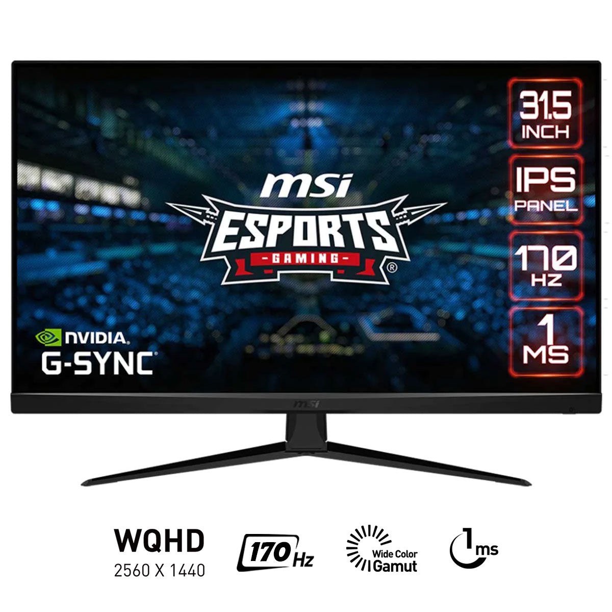 msi-g321q-31-5-wqhd-flat-ips-170hz-1ms-mprt-g-sync-compatible-esports-gaming-monitor