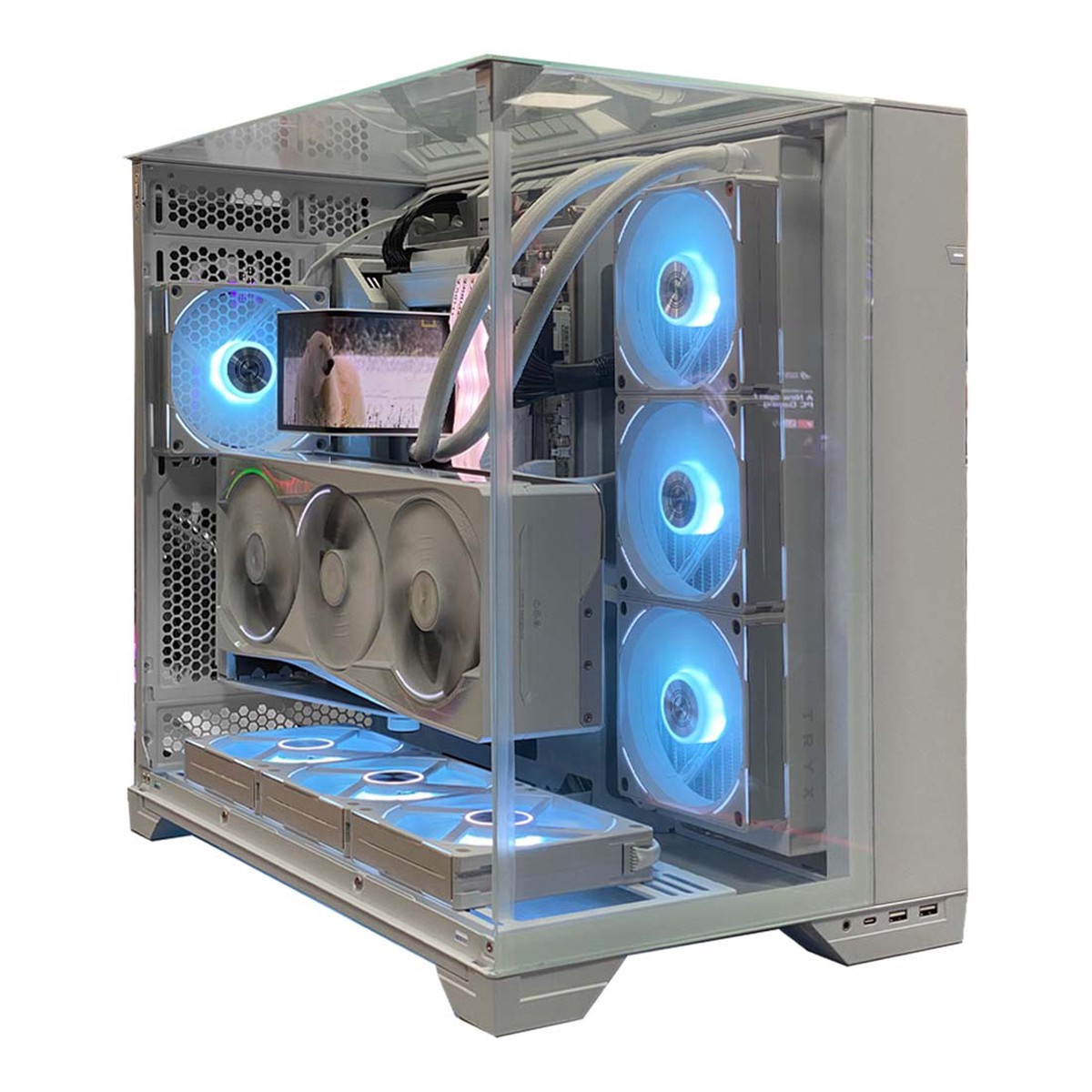 white-bear-build